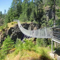 The Elk Falls suspension bridge near Campbell River