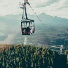 A red and white gondola car above the trees on a Jasper mountain
