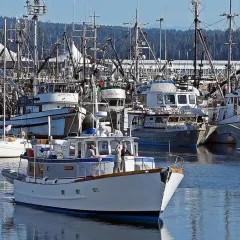A yacht in Campbell River harbour