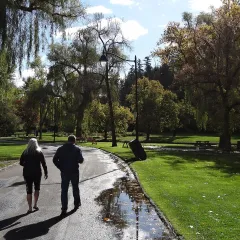 Polson Park in Vernon